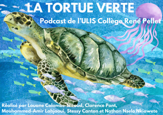 affiche podcast compressée.png
