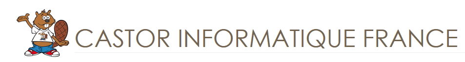 logo "castor informatique France"