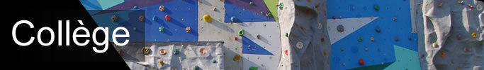 Une photographie du mur d'escalade du gymnase de l'établissement est en fond.